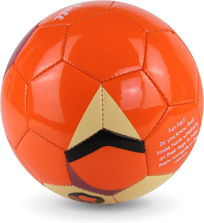 Kid and Toddler Soccer Ball - Size 1 and Size 3, Pump and Gift Box Included